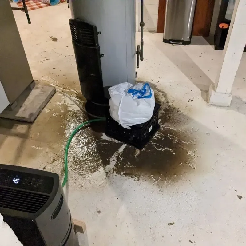Sewage Backup Cleanup Service in Luttrell, TN